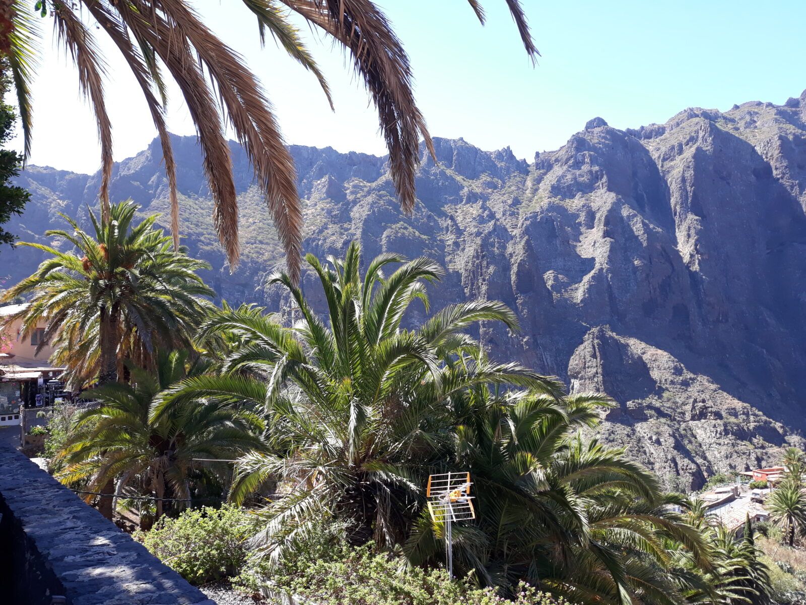 Read more about the article Masca, Teneryfa