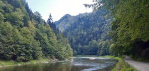 Read more about the article Rowerem wzdłuż przełomu Dunajca