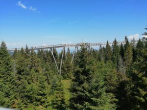 Read more about the article Ścieżka w koronach drzew – Chodnik korunami stromov,  Bachledova Dolina Słowacja