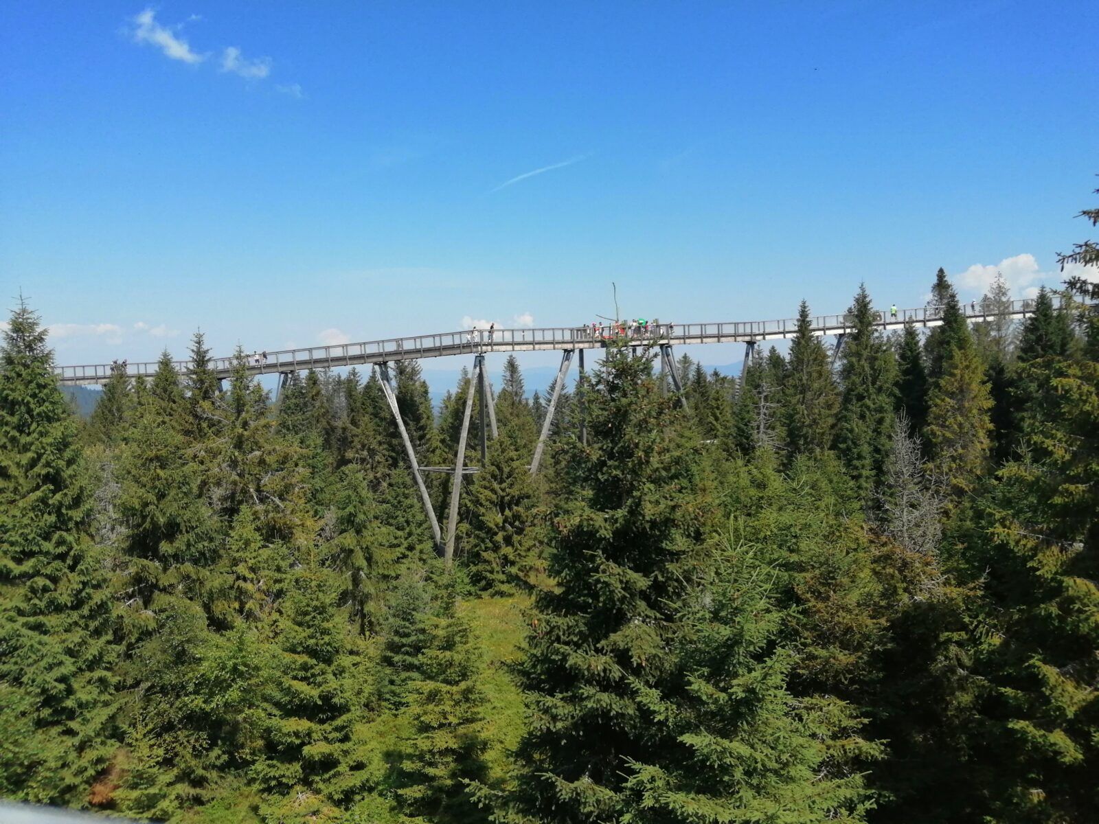 Read more about the article Ścieżka w koronach drzew – Chodnik korunami stromov,  Bachledova Dolina Słowacja