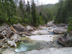 Read more about the article Hrebienok i Wodospady Zimnej Wody