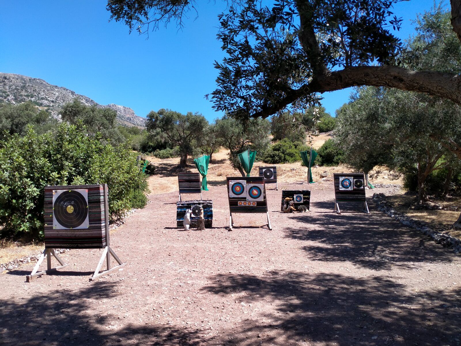 Read more about the article Parko Toxovolias Artemis Archery- strzelanie z łuku na Krecie