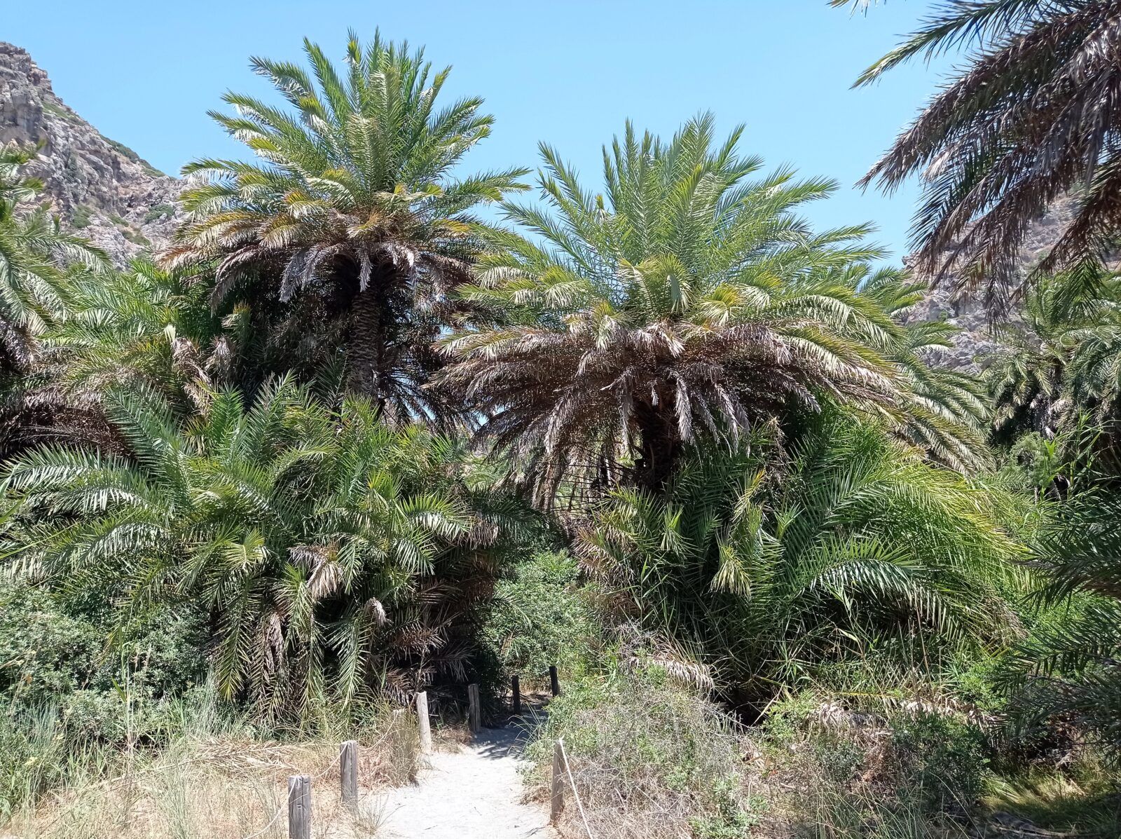 You are currently viewing Preveli Beach